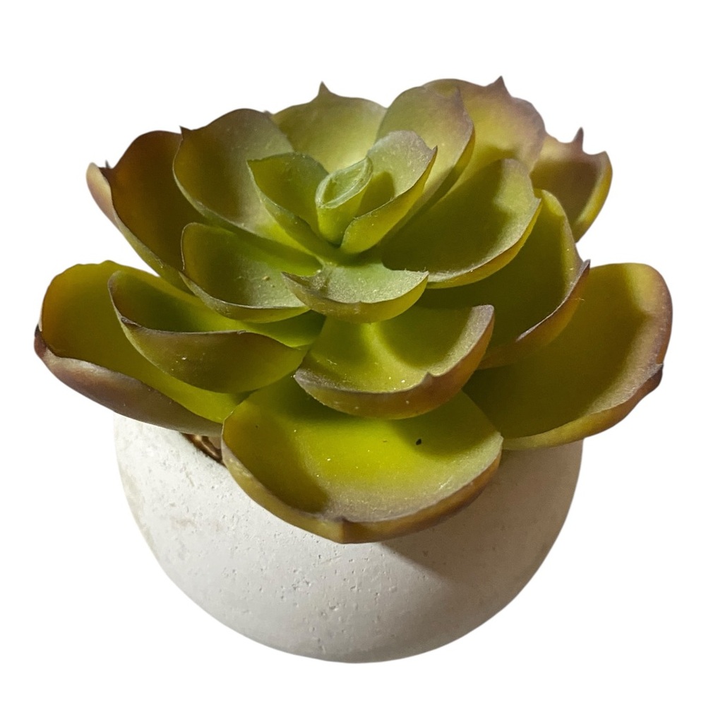Artificial Succulent Plants in Cement Pots - Picture 6 of 8